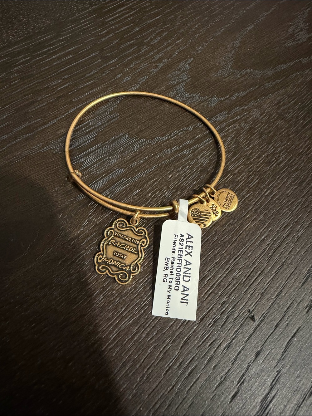 Alex and Ani Gold Tone Charm Bangle Bracelet with Multiple Charms